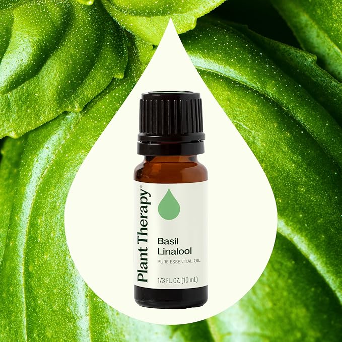 Plant Therapy Basil Linalool Essential Oil 10 mL (1/3 oz) 100% Pure, Undiluted, Aromatherapy, for Muscle Soreness and Digestive Discomfort