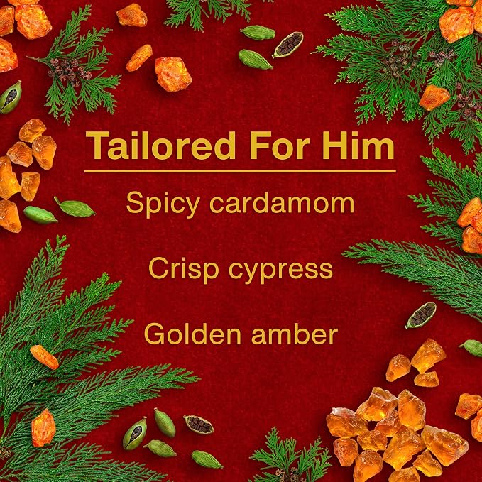 LITTLE TREES Car Air Freshener | Hanging Tree Provides Long Lasting Scent for Auto and Home | Tailored for Him, 24 Air Fresheners