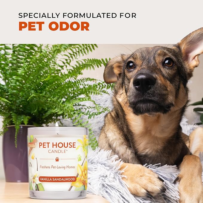 Pet House Candle Plant-Based, Clean Burning Long Lasting Scented Pet Odor Candle for Home - Evergreen Forest