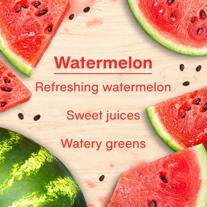 LITTLE TREES Car Air Freshener | Hanging Tree Provides Long Lasting Scent for Auto and Home | 24 Air Fresheners |Watermelon
