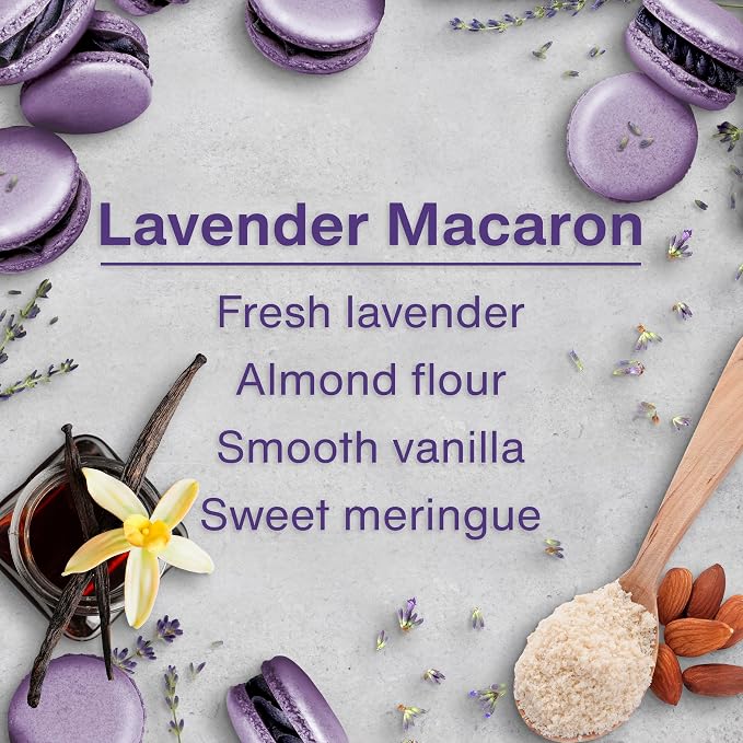 LITTLE TREES Car Air Freshener | Hanging Tree Provides Long Lasting Scent for Auto and Home | 24 Air Fresheners |Lavender Macaron