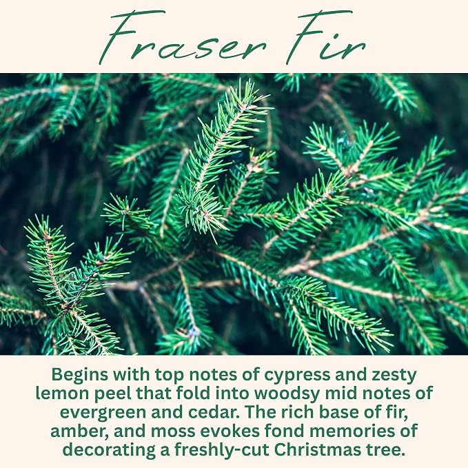 Wickless Pine Scented Candle for Candle Warmer Lamp, Many Scents to Choose, 100% Non-Toxic Soy Wax, Candle Melts for Warming Plate, Handmade in The USA (Fraser Fir)
