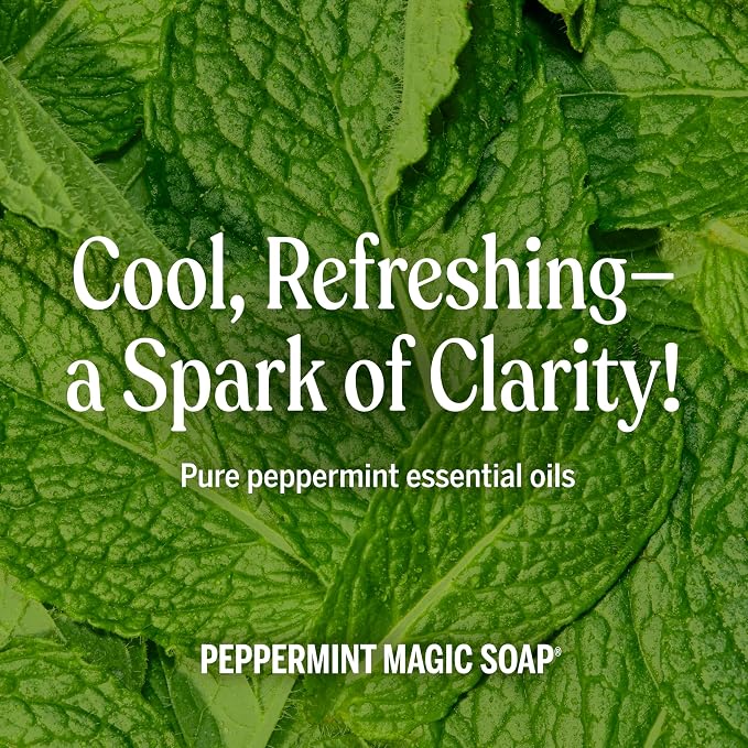 Dr. Bronner's Magic Soap-Pure-Castile Liquid Refill (Peppermint, 32 ounce, 2-Pack) - Regenerative Organic Certified Oils, For Body, Hair, Laundry, Pets & Dishes, Concentrated, Vegan, Non-GMO