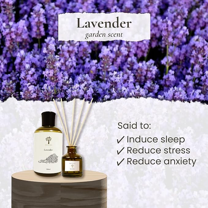 PRISTINE Lavender Dream Diffuser Refill with Free Reed Stick | Fresh Lavender Room Fragrance Reed Diffusers, Oil & Room Diffusers with Reeds Stick Set | Home Fragrance Scent Refill