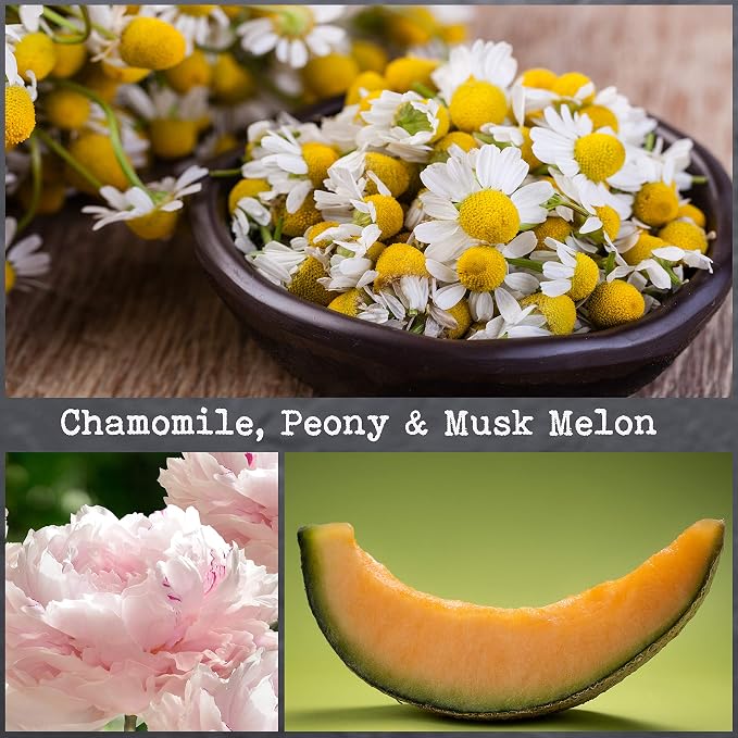 100% Natural Soy Wax Candle by CoCo Benjamin - Highly Scented & Hand-Poured Luxury Candle (Chamomile, Peony & Musk Melon) - Clean Burning Cotton Wick