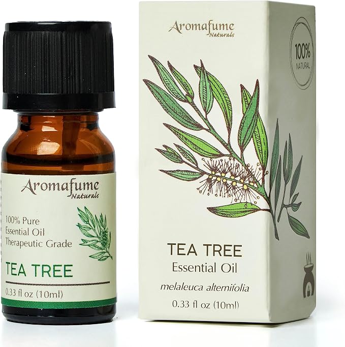 AROMAFUME Tea Tree Essential Oil - 100% Natural, Therapeutic Grade Essential Oils - Pure, Aromatherapy Oil for Home Diffusers - Gifts for Her 10ml