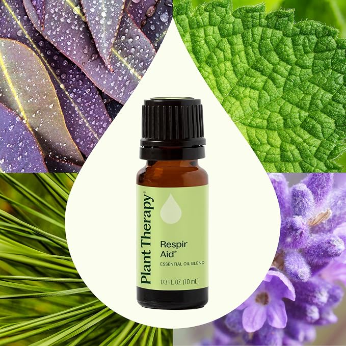Plant Therapy Respir Aid Essential Oil Blend, 10 mL (1/3 oz), Sinus, Airway and Congestion Clearing Oil Blend, 100% Pure and Undiluted, Natural Aromatherapy