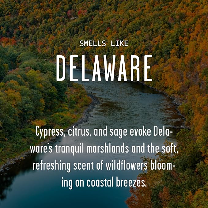 Delaware Gifts, Delaware Decor for Home - 'There's No Place Like Delaware Candle, w/Cypress, Sage & Citrus I Delaware Souvenirs I Delaware State Gifts I 9oz Jar, 50Hr Burn, USA Made