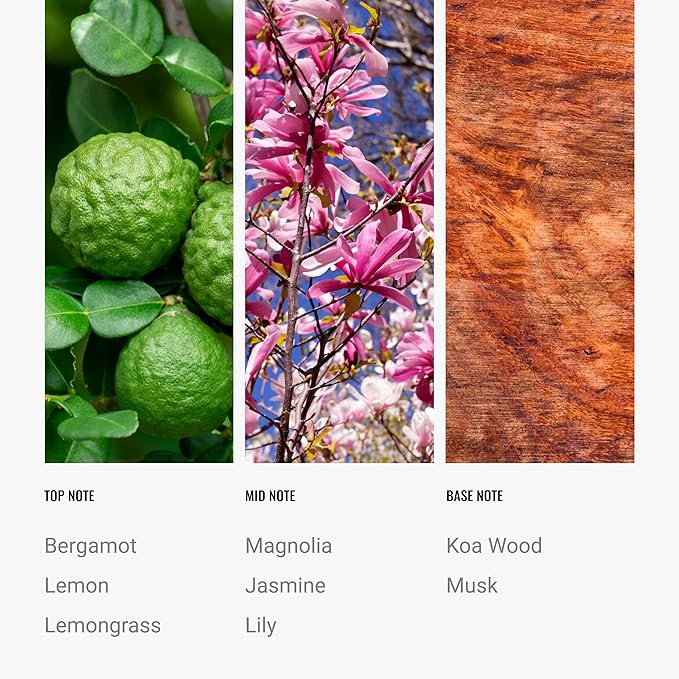 Hotel Collection Diffuser Oil-24K Magic Pro-Pod-Aromatherapy Essential Fragrance Oil-Italian Bergamot, Lemongrass & Sweet Laurel Leaf-50ML 1.7 Fl oz