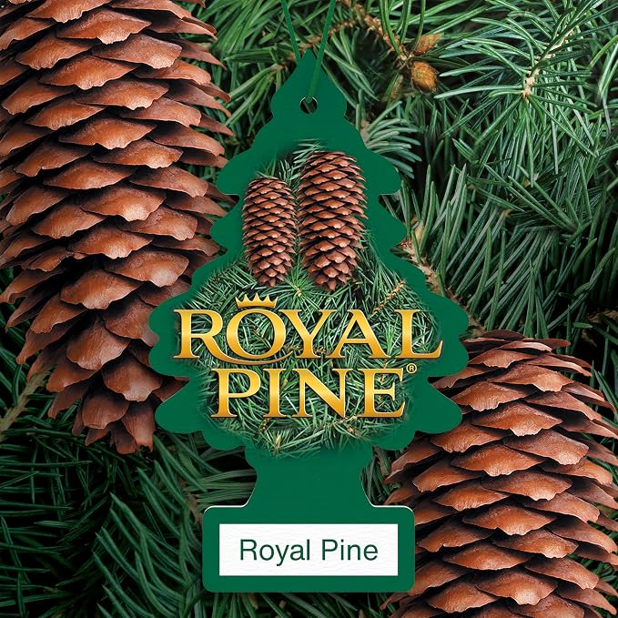LITTLE TREES Car Air Freshener | Hanging Tree Provides Long Lasting Scent for Auto and Home | Royal Pine, 24 Air Fresheners