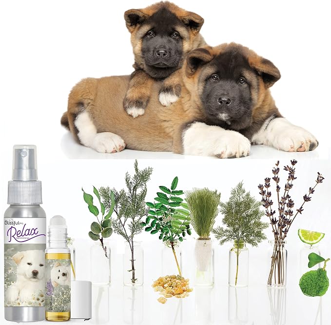 The Blissful Dog Akita Relax Dog Aromatherapy, 0.45-Ounce Roll-On