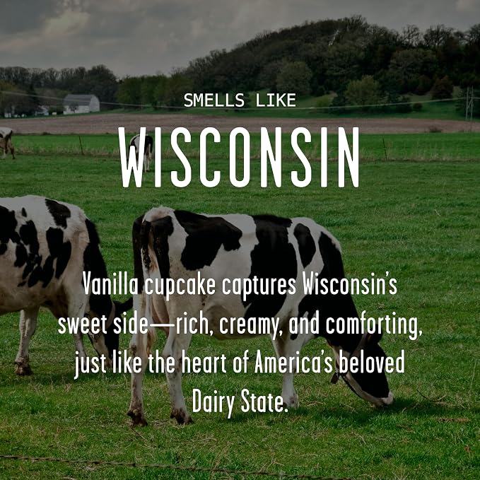Wisconsin Gifts, Wisconsin Decor for Home - 'There's No Place Like Wisconsin Candle, w/Vanilla & Buttery Icing I Wisconsin Souvenirs I Wisconsin State Gifts I 9oz Jar, 50Hr Burn, USA Made