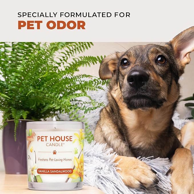 One Fur All Pet House Candle Plant-Based/Soy - Clean Burning Scented, Long Lasting Pet Odor Candle for Home - Vanilla Sandalwood