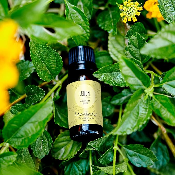 Edens Garden Lemon Around The World Essential Oil- 100% Pure Premium Grade, Undiluted, Natural, Therapeutic, Aromatherapy, The Best for Diffuser, Candle, Laundry, Humidifiers 118 ml (4 fl oz)