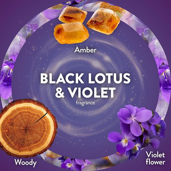 Air Wick Plug In Scented Oil Refill,Infused with Essential Oils,Plug In Air Fresheners for Home,Black Lotus & Violet,(Pack of 10)