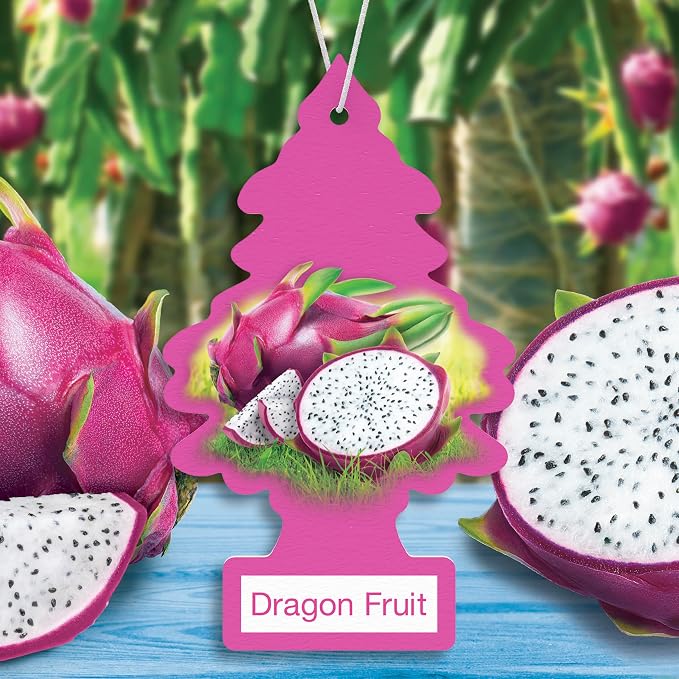 LITTLE TREES Car Air Freshener | Hanging Tree Provides Long Lasting Scent for Auto and Home | 24 Air Fresheners |Dragon Fruit