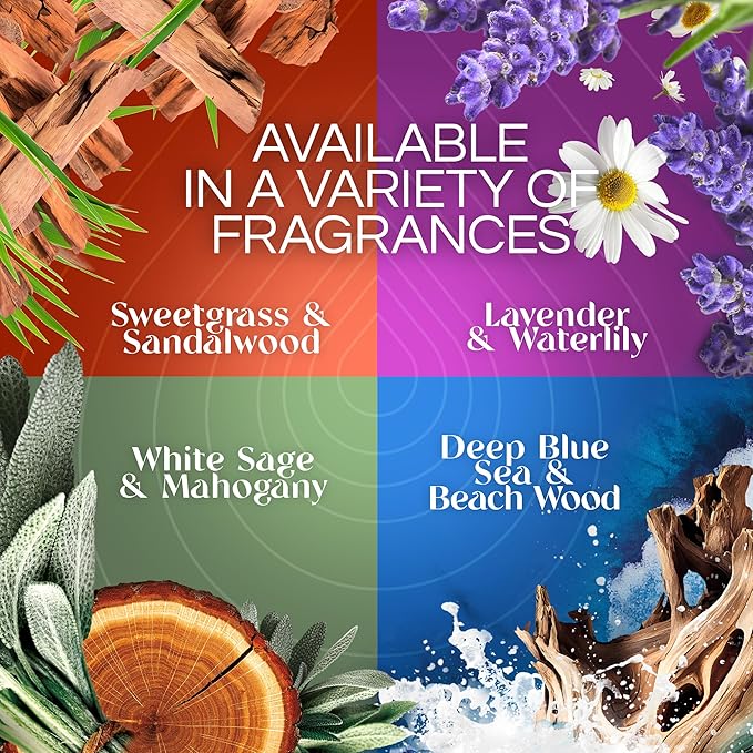 Air Wick Vibrant Plug In Scented Oil Warmer + Refills, Infused with Essential Oils, Plug In Air Fresheners for Home, Mixed Pack, Gadget + 3 ct (Pack of 2)