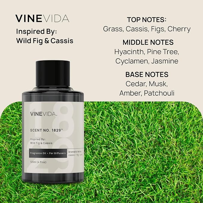 VINEVIDA [4 Oz] Inspired by: Wild Fig & Cassis; Diffuser Oil Refill | Premium Scent Diffuser Oil for Home | Non-Toxic Fragrance