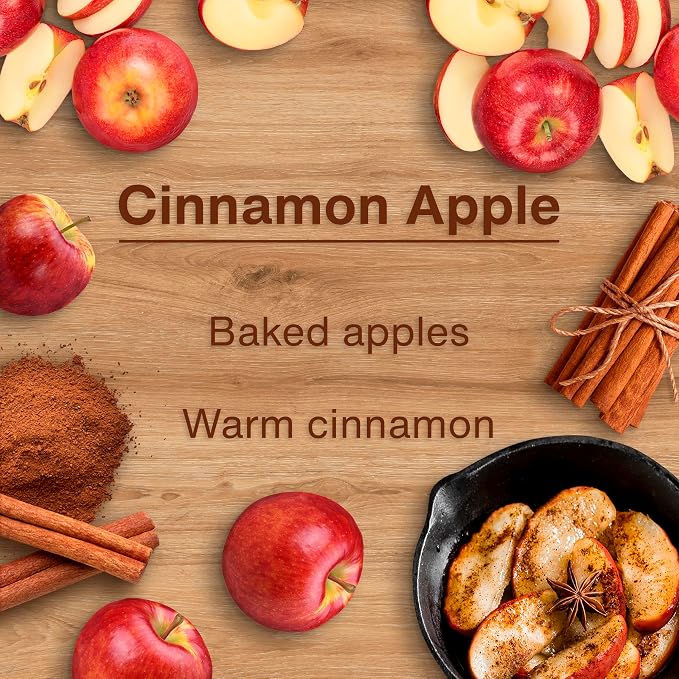 LITTLE TREES Car Air Freshener | Hanging Tree Provides Long Lasting Scent for Auto and Home | 24 Air Fresheners |Cinnamon Apple