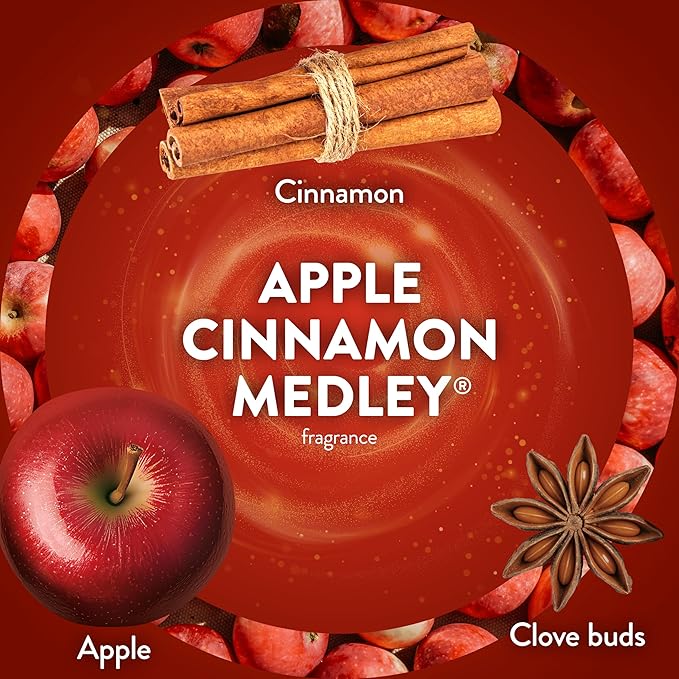 Air Wick Plug in Scented Oil Refill, 2ct, Apple Cinnamon Medley, Fall Scent, Essential Oils, Air Freshener