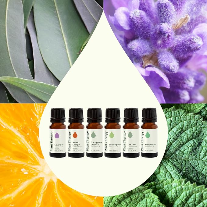 Plant Therapy Breathe Easy Essential Oil Set of 6 Bottles 10 mL (1/3 oz) Each, Lavender, Eucalyptus, Peppermint, Lemongrass, Orange Sweet, Tea Tree, 100% Pure, Aromatherapy