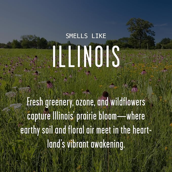 Illinois Gifts, Illinois Decor for Home - 'There's No Place Like Illinois Candle, w/Greenery, Ozone & Wildflowers I Illinois Souvenirs I Illinois State Gifts I 9oz Jar, 50Hr Burn, USA Made