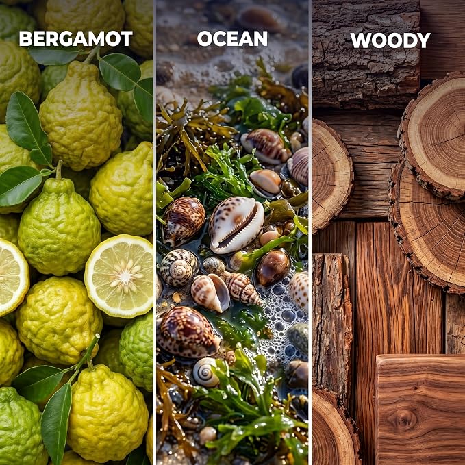 Inspired by 5-Star Hotel Rio de Janeiro RJ03 Hotel Scent Diffuser Oil | 1.69 Fl oz (50 ml) - Waterless Diffuser Oil Refill & Highly Concentrated Fragrance Oil, Diffuser Oil Scents, Hotel Oil Diffuser