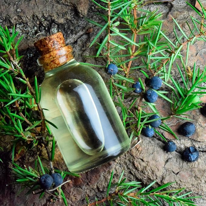Set Forest Magic - Organic Essential Oils - Scotch Pine + Juniper + Silver Fir - 100% Pure and Natural Undiluted Aromatherapy Stress Relief Fresh Pine Resinous Aromas (3pcs x 10ml)