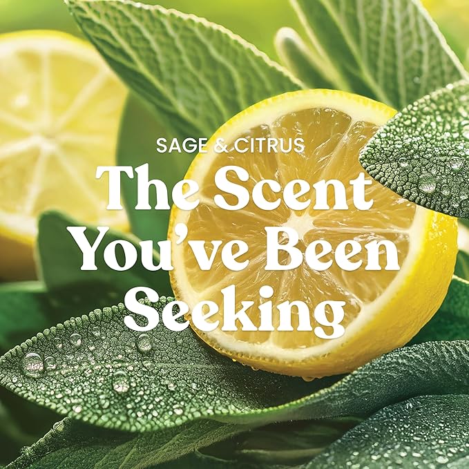 Yankee Candle Sage & Citrus Scented Signature 20oz Large Tumbler 2-Wick CandleLong-Lasting and Clean Burn Over 60 Hours of Burn Time (Pack of 4)