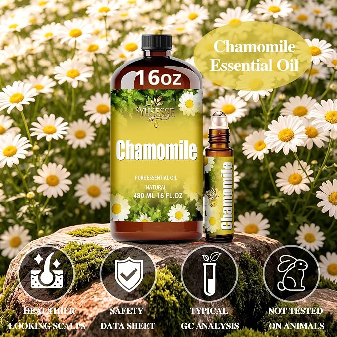 Chamomile Essential Oil, Chamomile Oil 16 Fl Oz 480ml for Diffuser Yoga Soap & Candle Making – with 0.33 Oz Roller Ball & Funnel YHSESSE Essential Oils