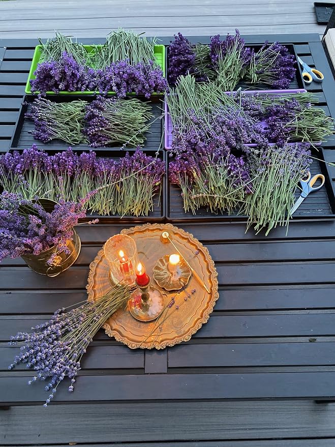 Lavender Soy Candle by Fairy Greens | Handmade Natural Lavender Oil & Soy Wax | Aromatherapy Candle | Long Lasting Candle |All-Natural Lavender Candle | Sleep Well Lavender Candles For Home | 8 oz Tin