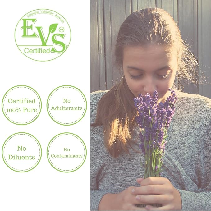 Pure Body Naturals Bulgarian Lavender Essential Oil by Pure Body Naturals, 1 Fluid Ounce - 100% Pure, Independently Tested, Therapeutic Grade Lavender Essential Oil for Diffuser Aromatherapy