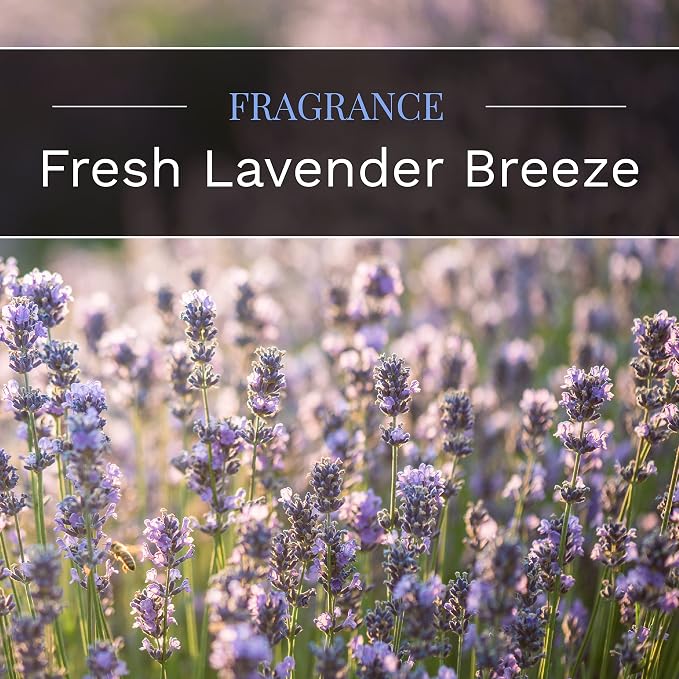 CANDLE-LITE Scented Fresh Lavender Breeze Fragrance, One 10oz. 3-Wick Aromatherapy Candle with 20-40 Hours of Burn Time, Light Purple Color, 10 oz