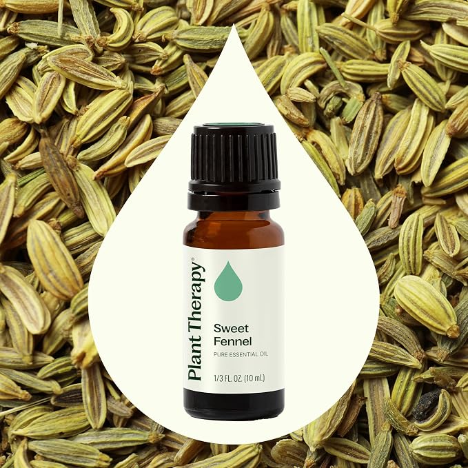 Plant Therapy Sweet Fennel Essential Oil 10 mL (1/3 oz) 100% Pure, Undiluted, Aromatherapy for Attention, Focus, and Digestive Discomfort