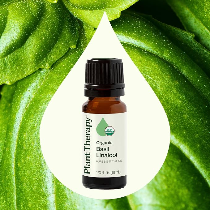 Plant Therapy USDA Certified Organic Basil Linalool Essential Oil 10 mL (1/3 oz) 100% Pure, Undiluted, Aromatherapy, for Muscle Soreness and Digestive Discomfort