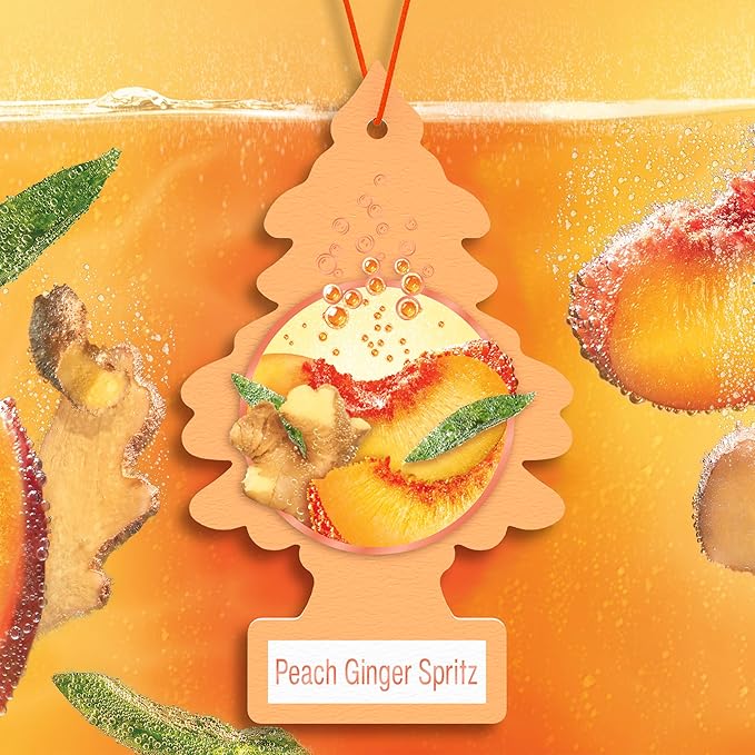 LITTLE TREES Car Air Freshener | Hanging Tree Provides Long Lasting Scent for Auto and Home | 24 Air Fresheners |Peach Ginger Spritz