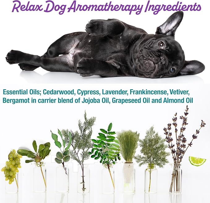 The Blissful Dog Corgi Relax Roll-ON Aromatherapy for Dogs - Anxiety Relief for Dogs
