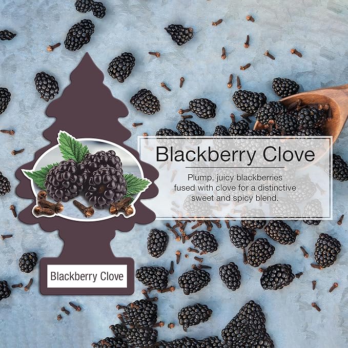 Little Trees DAS-17343 Car Air Freshener | Hanging Paper Tree for Home or Car | Blackberry Clove