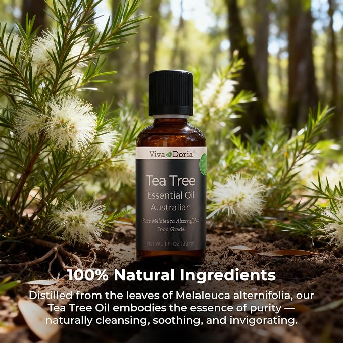 Viva Doria Tea Tree Oil, 100% Pure, Natural, Australian Tea Tree Essential Oil, Undiluted, Food Grade, 30 ml (1 Fl Oz)