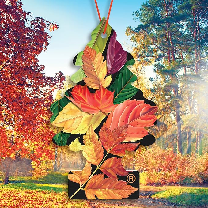 LITTLE TREES Car Air Freshener | Hanging Tree Provides Long Lasting Scent for Auto and Home | Crisp Autumn Air, 24 Air Fresheners