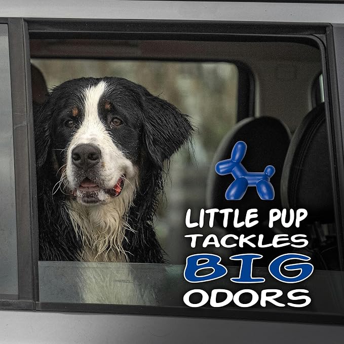 Little Pup 96603-6PK Ocean Splash Scent, Car Air Freshener, Clips to A/C Air Vent, Alcohol-Free Fragrance Oil, Non-Hazardous and Non-Toxic Plastic, Set of 6